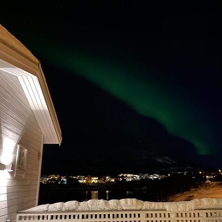 Studio Seaside Tromso Bagian luar foto